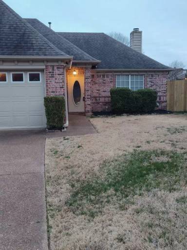 Main picture of 10061 Woodland Pine Cv E