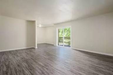 Main picture of Virginia Pines