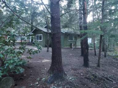 Main picture of 5019 Kerry Ln SE