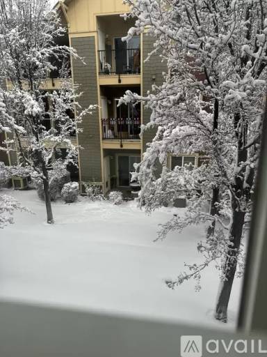 Main picture of The Village At Idlewild Park