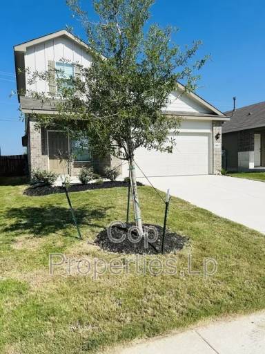 Main picture of 4611 Meerkat