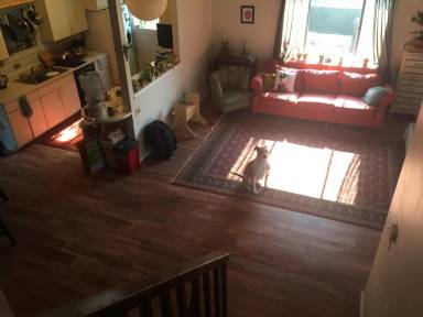 Main picture of 2633 Sherwood Cir