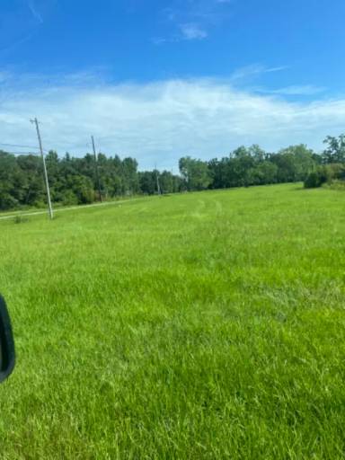 Main picture of 18958 Old Brady Rd