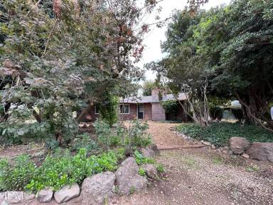 Main picture of 3715 Morehead Ave
