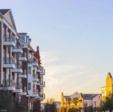 Main picture of The Margo