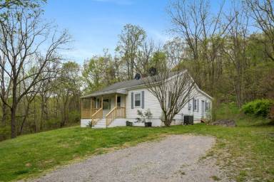 Main picture of 443 Buckskin Rd