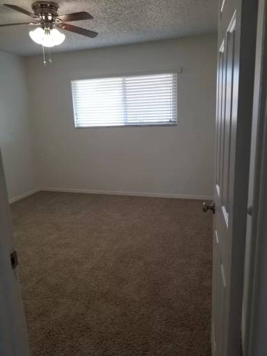 Main picture of 217 Orlando St