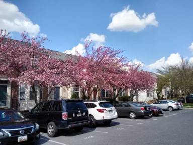 Main picture of 11157 Maryland Manor Ct