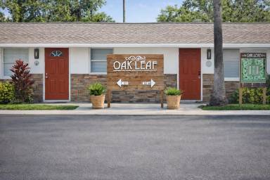Main picture of Oak Leaf