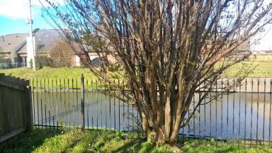Main picture of 1685 Beaver Trail Dr