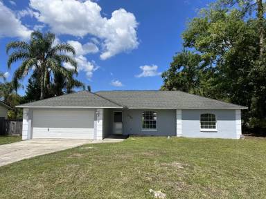 Main picture of 3323 Umbrella Tree Dr