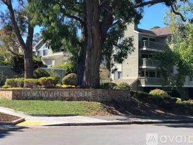 Main picture of 97 Eucalyptus Knoll St
