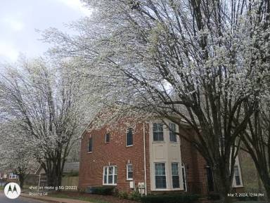 Main picture of 212 Windsor Terrace Dr