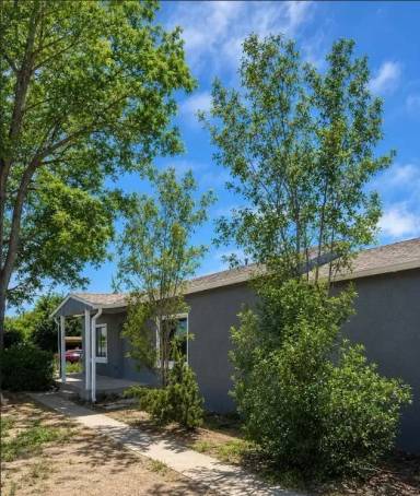 Main picture of 1215 San Pedro St