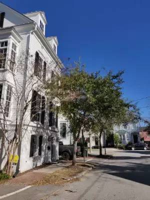 Main picture of 2 Marion St