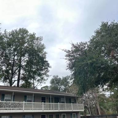 Main picture of 215 Darsey Rd