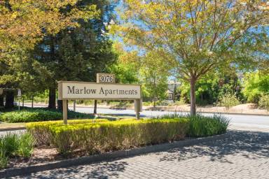 Main picture of Marlow Apartments