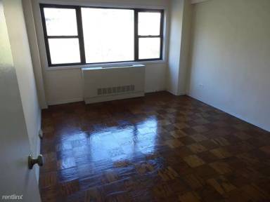 Main picture of 342 E 67th St