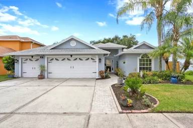 Main picture of 10025 Oasis Palm Dr