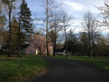 Main picture of 826 Cherry Ln