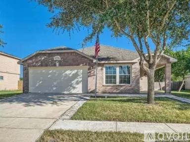 Main picture of 7902 Derby Vis