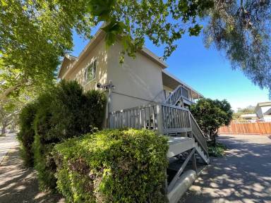 Main picture of 1133 Newhall St