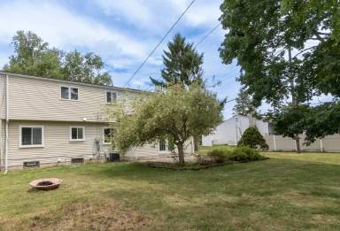 Main picture of Hawks Rental