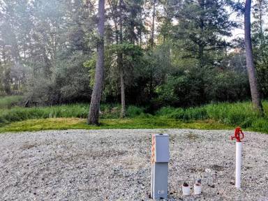 Main picture of 121 Wilderness Trl