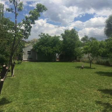 Main picture of 1342 S 2nd Ave