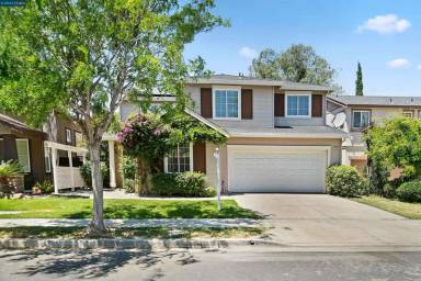 Main picture of 249 Honeysuckle St
