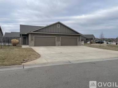 Main picture of Aster Sunflower