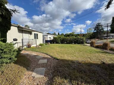 Main picture of 927 Lemon Ave