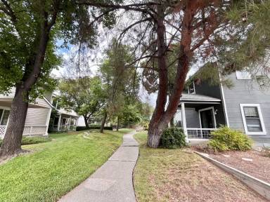 Main picture of 2502 Amapola Dr