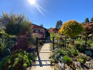 Main picture of 1047-1049 Noel Dr