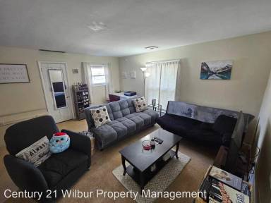 Main picture of 203 S Chestnut St