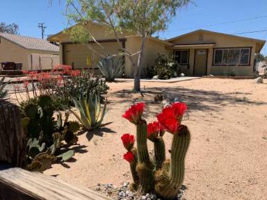 Main picture of 6186 Chia Ave