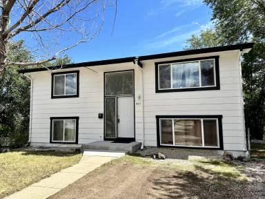 Main picture of 907 W Madison St
