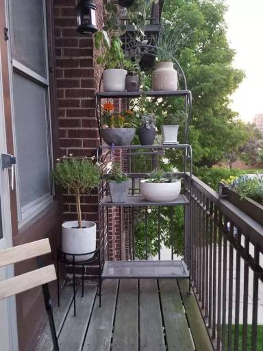 Property view
