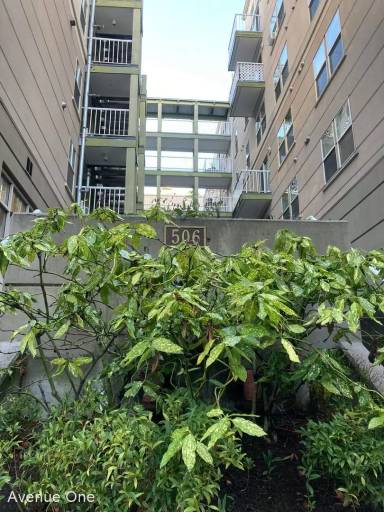 Main picture of 506 E Howell St Apartments
