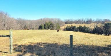 Main picture of 1444 Ben T Johns Rd