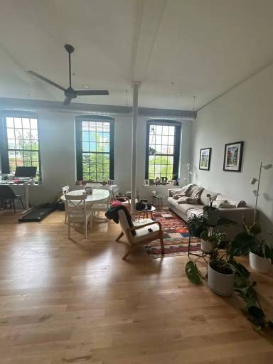 Main picture of 49 Westfield St Apartments