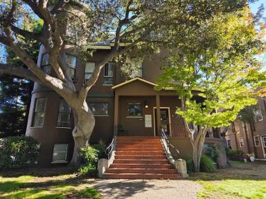 Main picture of 2001 Alameda Ave