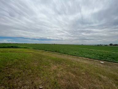 Main picture of 5032 County Road 11