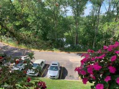 Main picture of Black Forest Condominiums
