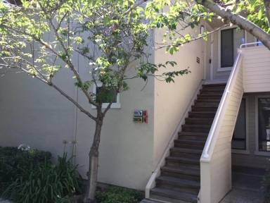 Main picture of 39927 Parada St