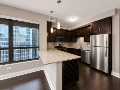 Main picture of 51 W Hubbard St