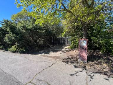 Main picture of 901 Morse Ave