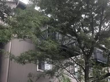 Main picture of Pier Apartments