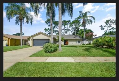 Main picture of 9118 Palm Tree Dr