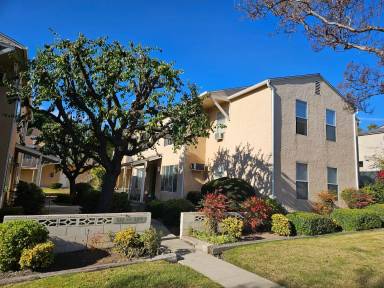 Main picture of 317 Cornell Dr